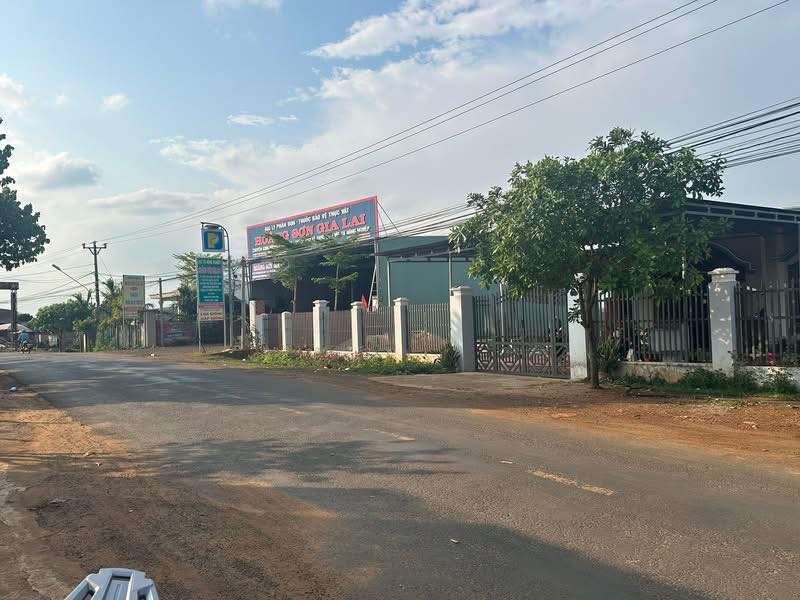 Đất nền Chư Sê Gia Lai 240m² giá 1.7 tỷ - Tiềm năng tăng giá!