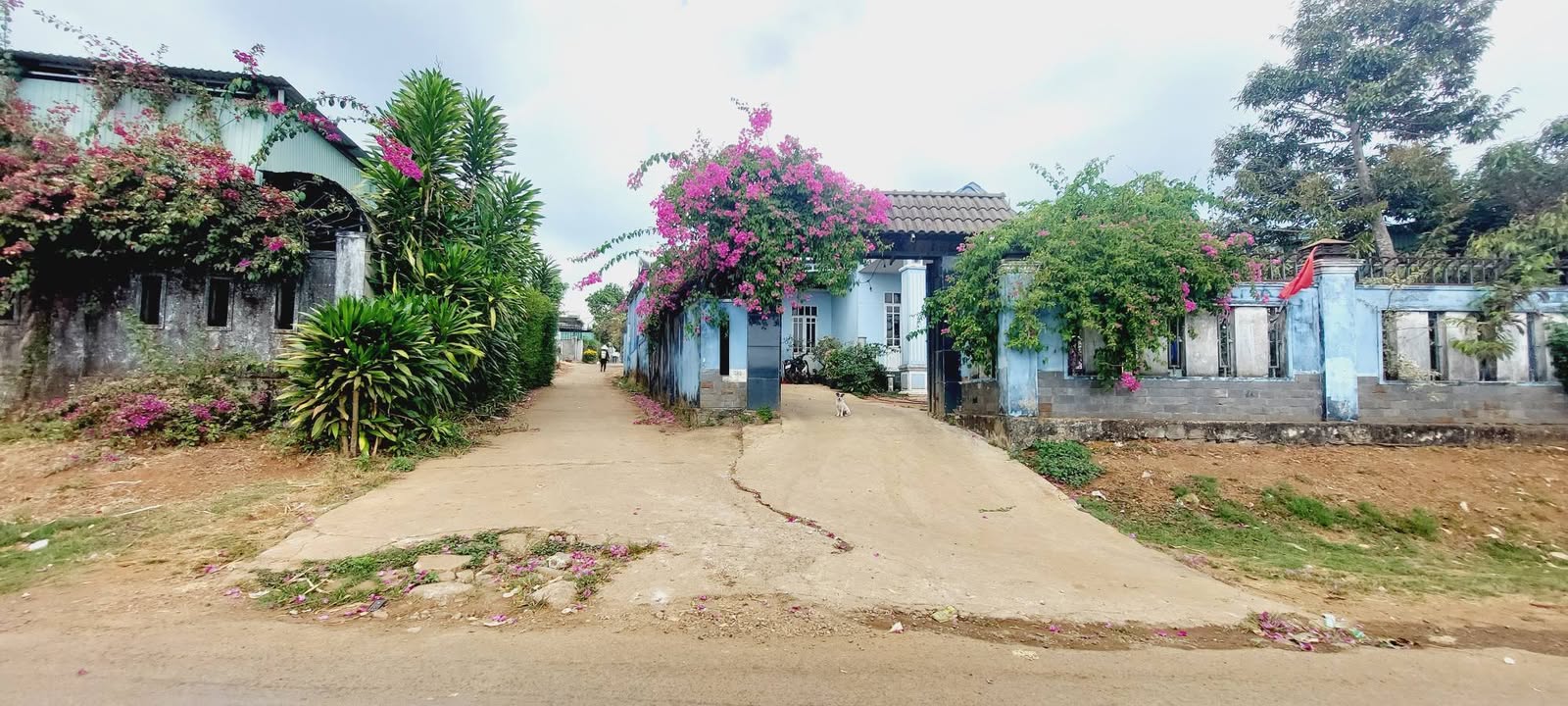 Đất Nền An Phú, Pleiku 112m² - Sổ Đỏ Rõ Ràng, Giá Tốt