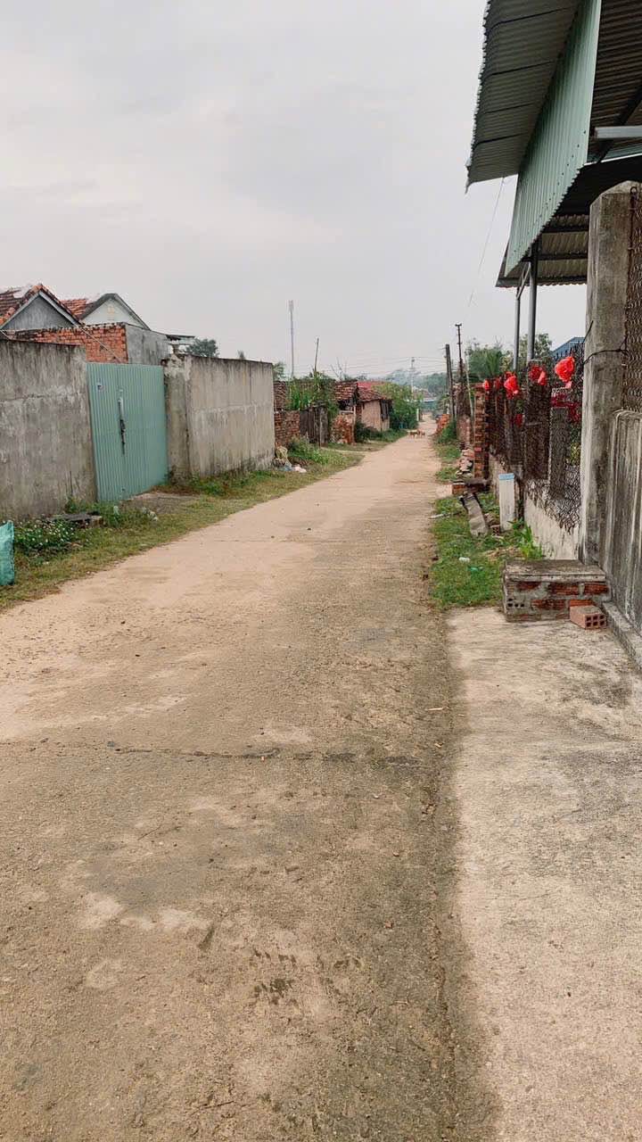 Đất Nền Bình Nghi, Tây Sơn - 136m² Sổ Đỏ, Giá F0 Chỉ 299 Triệu