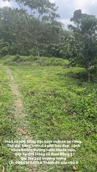 Đất nền Lạc Dương 1.3ha - Sổ đỏ chính chủ, giá 2.3 tỷ