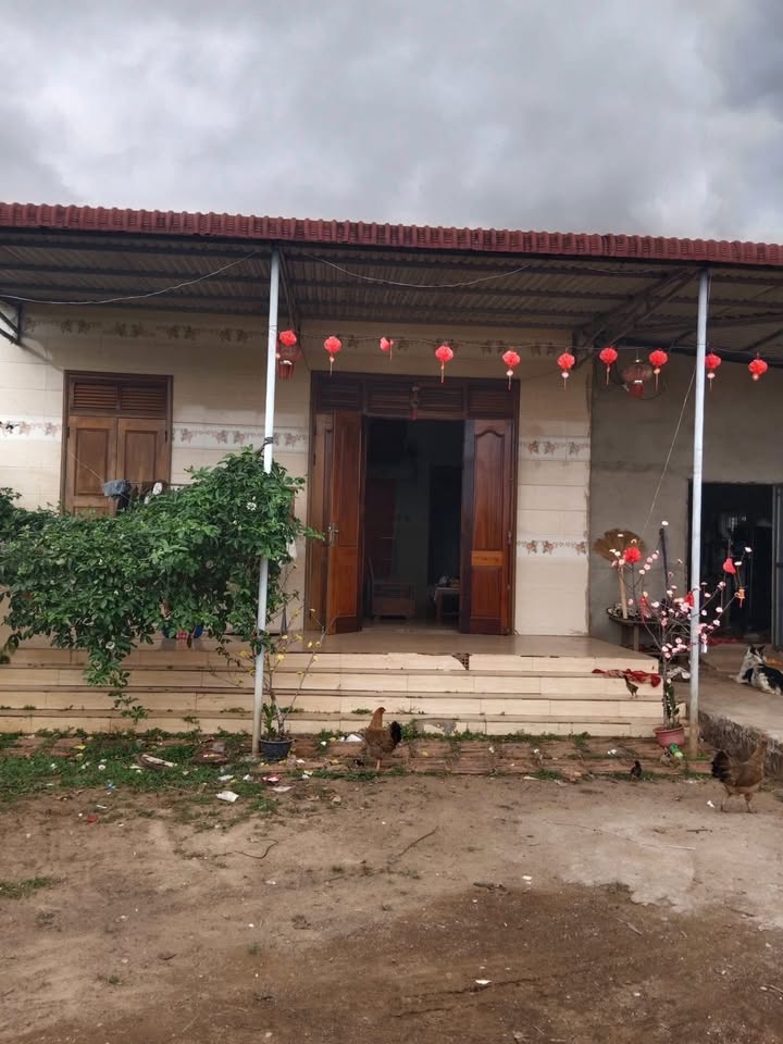 Đất Vườn Đắk Lắk 4400m² Tặng Nhà - Giá 1.8 Tỷ