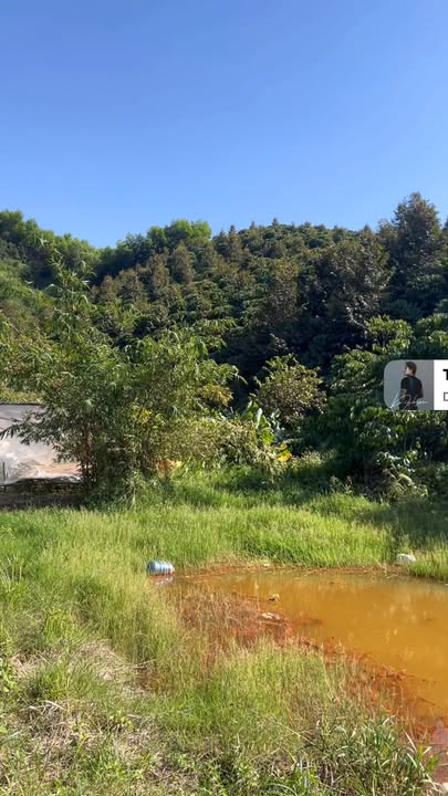 Đất nền Đắk Mang, Cư Jút 20000m² - Sổ đỏ chính chủ!