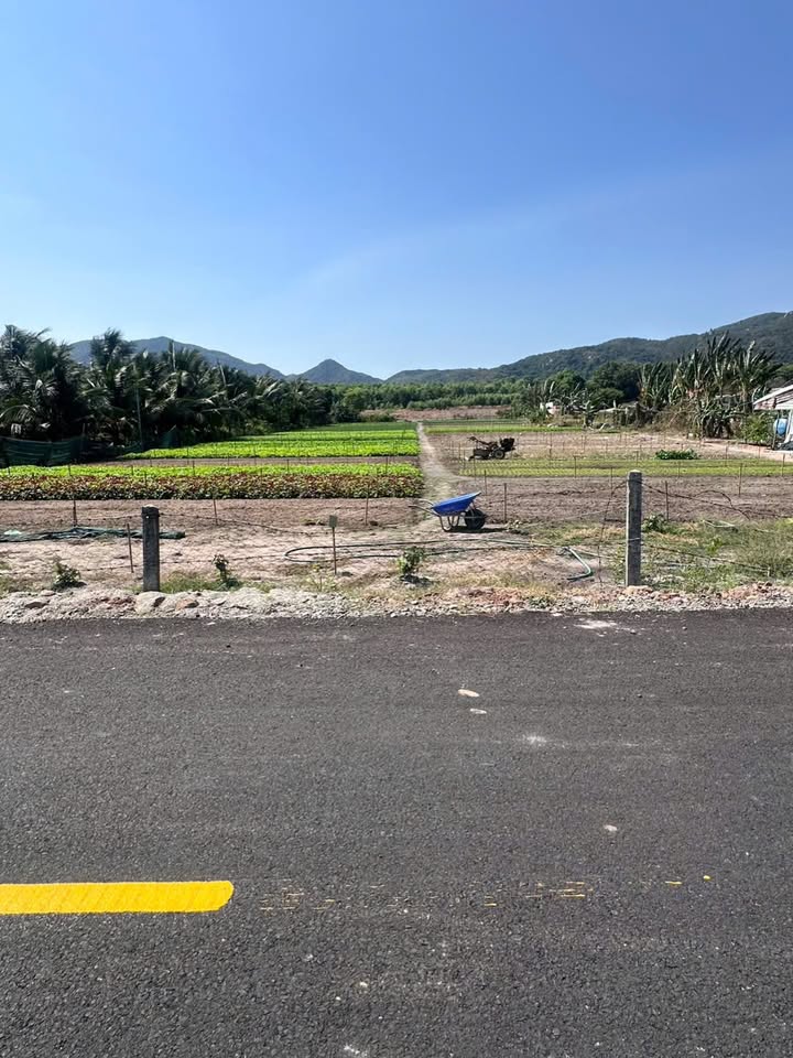 Bán Đất Vườn Long Mỹ 4873m² - View Núi Minh Đạm, Gần Biển Phước Hải