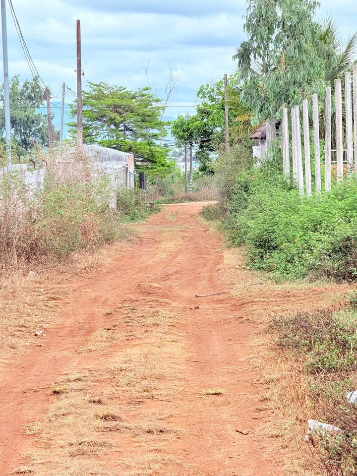 Đất Nền 150m² Phường Diên Hồng, Pleiku - Sổ Đỏ Thổ Cư Giá Chỉ 5xx Triệu