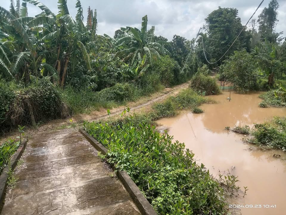 Đất Vườn Đồng Tháp 6000m² - Yên Tĩnh, Sẵn Nhà, Giá Đầu Tư 1.2 Tỷ