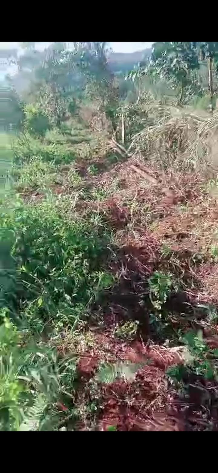 Đất Nền Buôn Hồ 1ha - Giá Từ 1xx Tỷ, Tiềm Năng Tăng Giá Vượt Trội!