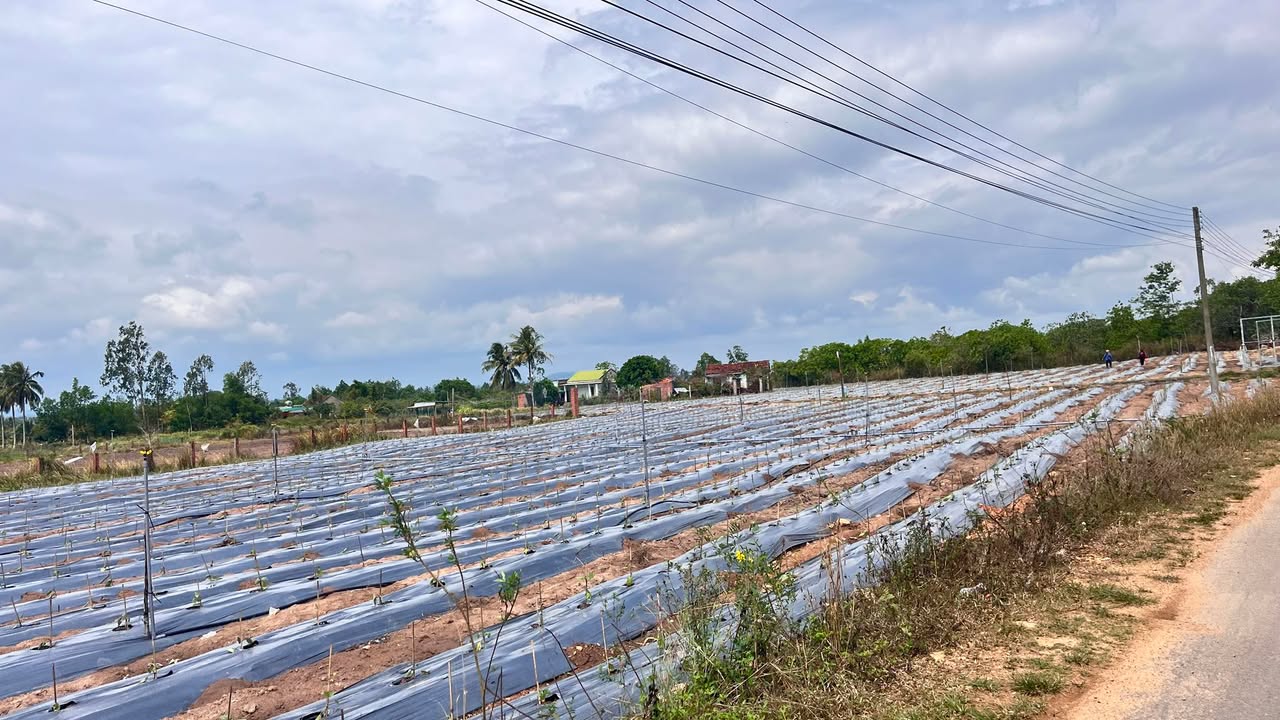 Đất nền Ea Kar 2360m² giá 1.83 tỷ - Tiềm năng tăng giá vượt trội!