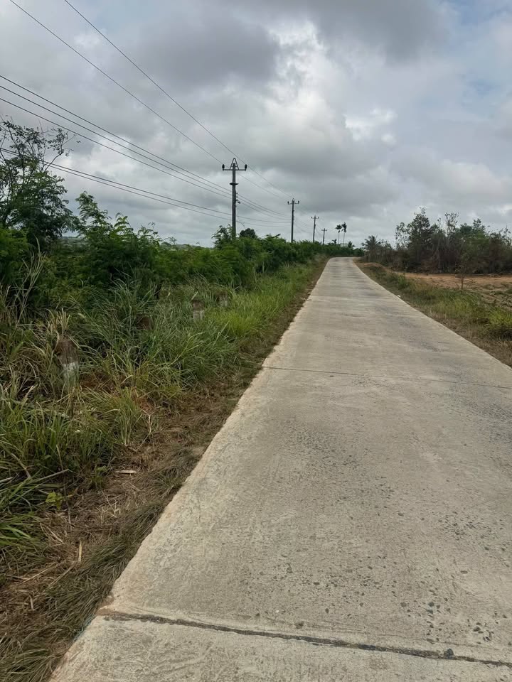 Bán Gấp Farm 35.000m² Ea Sô, Đắk Lắk - Sổ Đỏ, Vườn Trái Cây Trĩu Quả