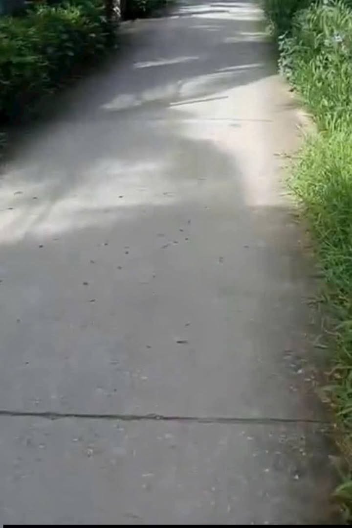 Đất Mặt Tiền Lộ Đal, Cái Răng - 504m² Sổ Hồng Sẵn