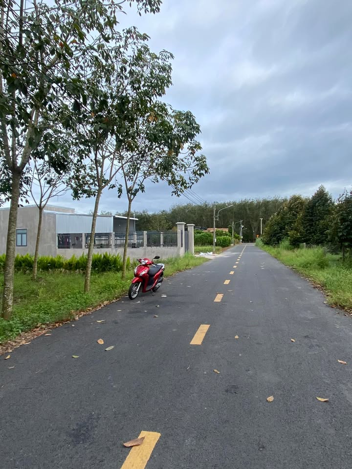 Đất nền Lai Uyên Bàu Bàng 1950m² - Sổ đỏ chính chủ