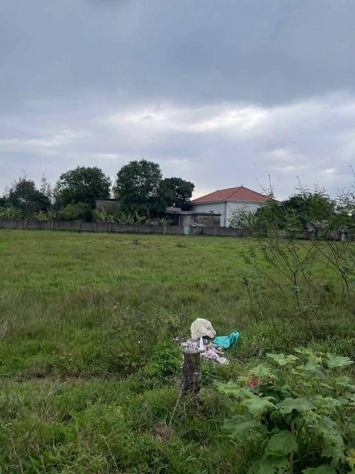 Đất Vàng Thạch Khê, Hà Tĩnh - 437m² - Giá 5 Tỷ - Sẵn Sàng Đầu Tư