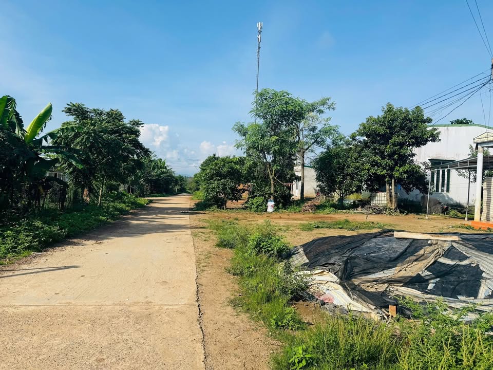 Đất nền 290m² mặt tiền Tỉnh lộ 9, Krông Bông - Sổ đỏ sẵn sàng giao dịch