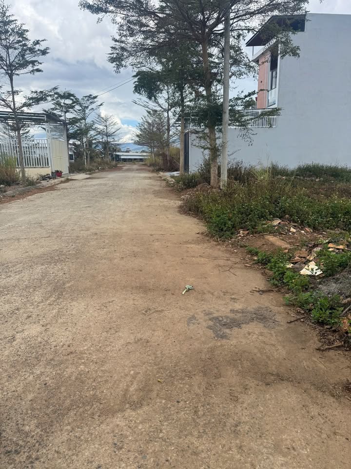 Đất nền Đà Lạt 120m² Trường lái Lạc Hồng - Đường to ô tô