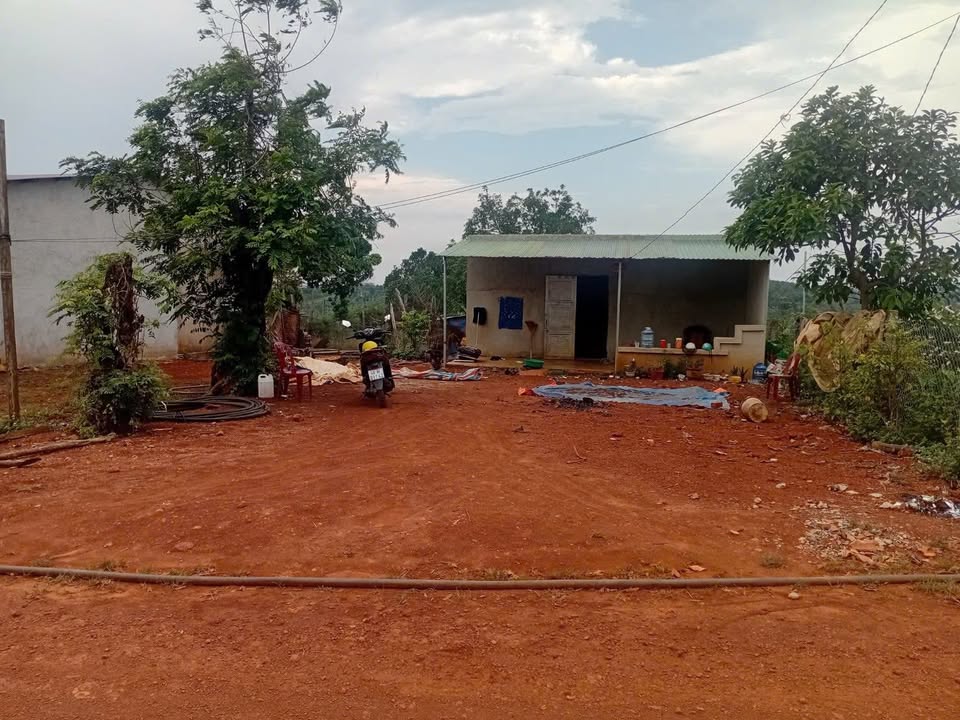 Đất nền Đắk Nông 500m² giá 500 triệu - Sổ đỏ chính chủ!