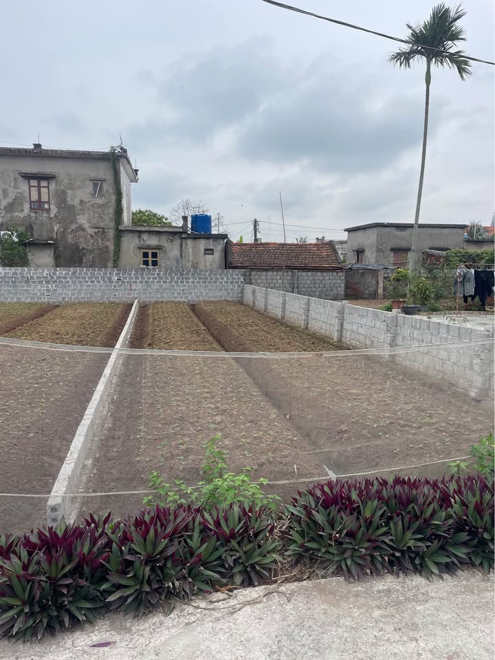 Đất nền Nam Thịnh, Tiền Hải 100m² - Sổ đỏ chính chủ, giá tốt!