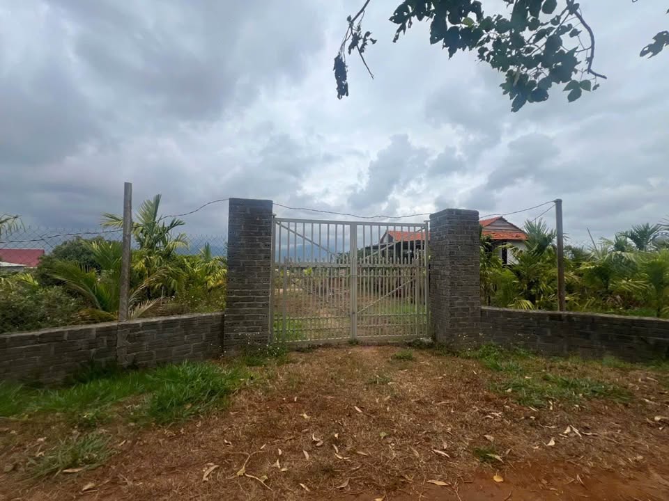 Đất Vườn Biển Hồ Gia Lai 1.4 Tỷ - Sinh Thái Xanh, View Hồ Tuyệt Đẹp!