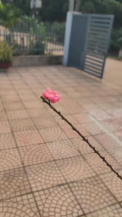 Đất nền Trảng Bom 11.000m² giá 6.5 tỷ - Tiềm năng tăng giá!