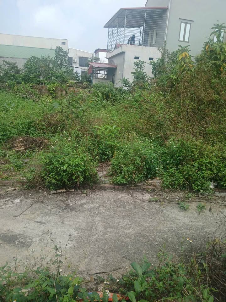 Bán Đất Thổ Cư Việt Hưng, Văn Lâm 72.4m² - Sổ Đỏ Chính Chủ, Giá Tốt