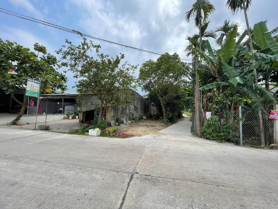 Đất Nền Mặt Tiền Kinh Doanh Xã Nghĩa Hòa, Tư Nghĩa - 141m² Giá Tốt