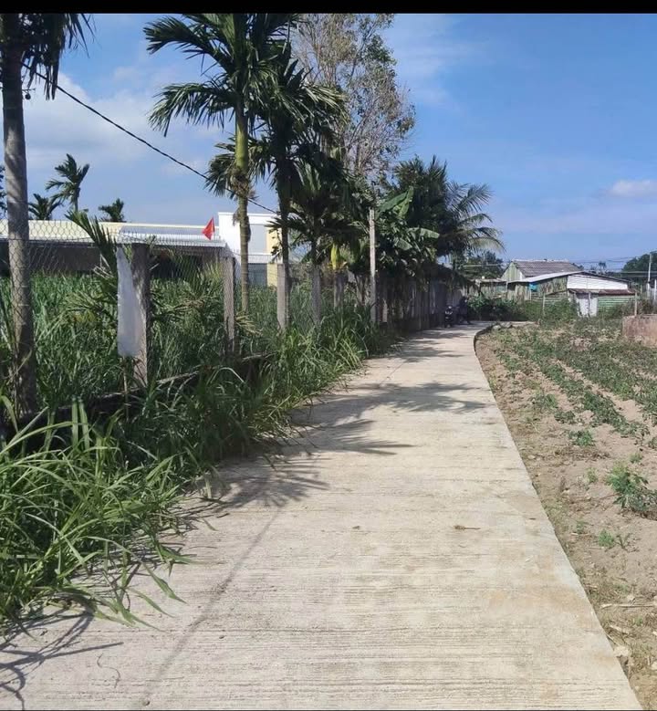 Đất nền Nghĩa Kỳ, Quảng Ngãi - 2 lô LK sát Chợ, Hướng Bắc, Giá chỉ 4xx Tỷ