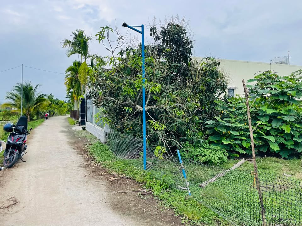 Đất nền Ba Gia, Sơn Tịnh 160m² - Sổ đỏ chính chủ, full thổ cư!