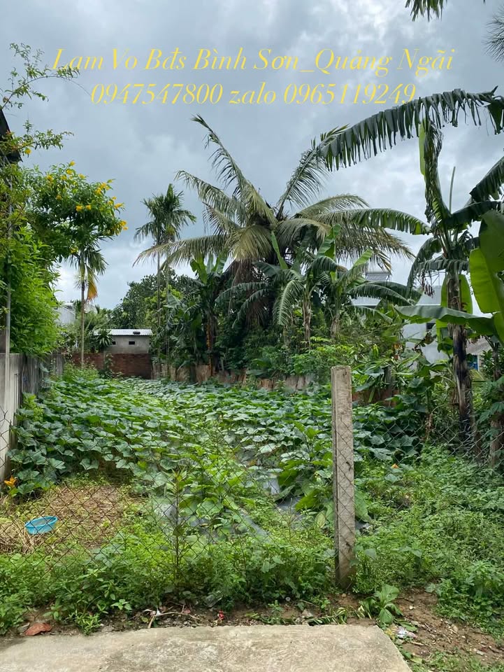 Đất Nền Bình Trung, Quảng Ngãi - 150m² Gần Trường Lê Quý Đôn