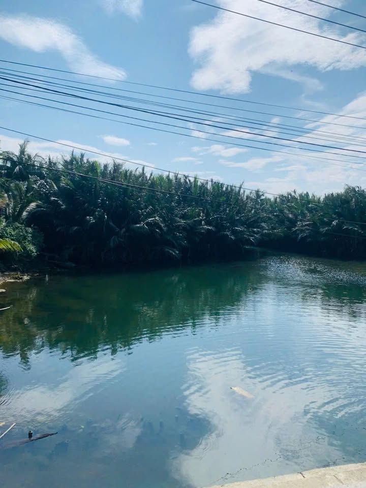 Đất nền Cẩm Thanh Hội An 90m² - Sổ đỏ chính chủ, view sông dừa!