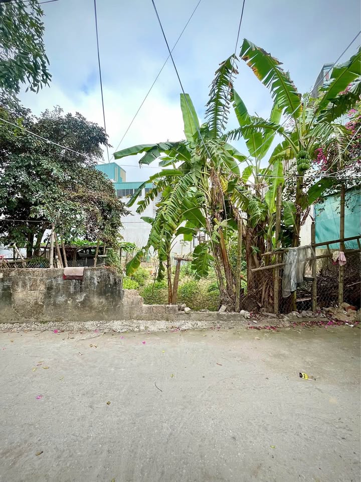 Đất nền 100m² Quảng Hưng, Thanh Hóa - Đường ô tô, Sổ đỏ sẵn sàng!