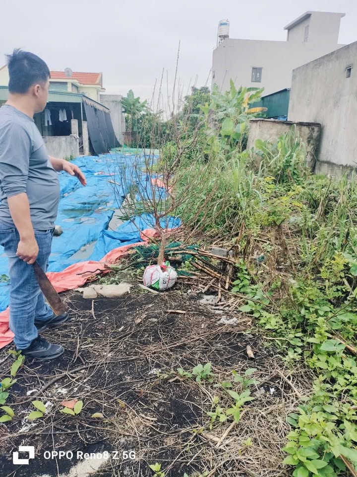 Đất vàng Thôn 8 Sông Khoai 279m² 2.511 tỷ - Sổ đỏ chính chủ