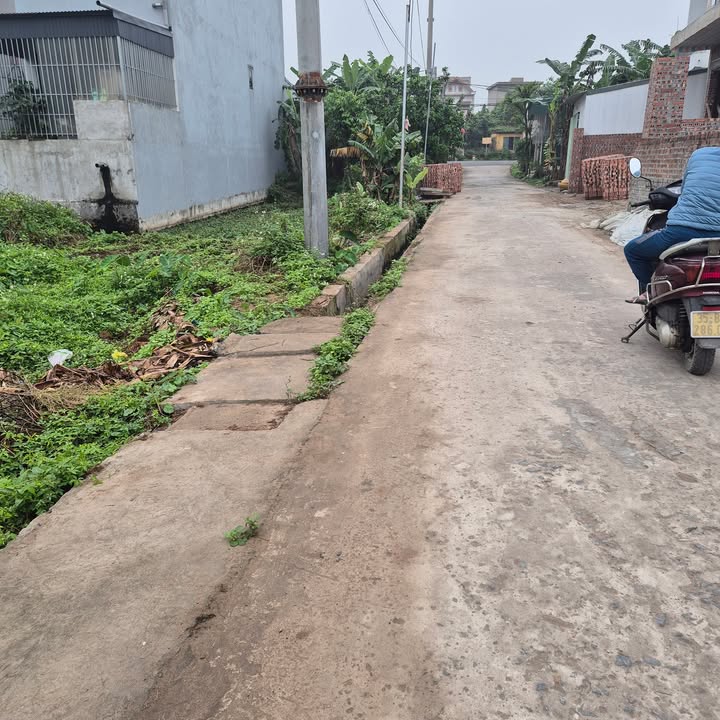 Bán Đất 154m² Sổ Đỏ Full Thổ Cư Trục 481B Ninh Bình - Giá Chỉ 9xx Tỷ