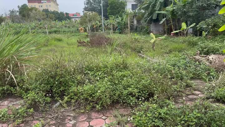 Đất nền Đại Nghĩa 111m² - Sổ đỏ chính chủ, tiềm năng sinh lời