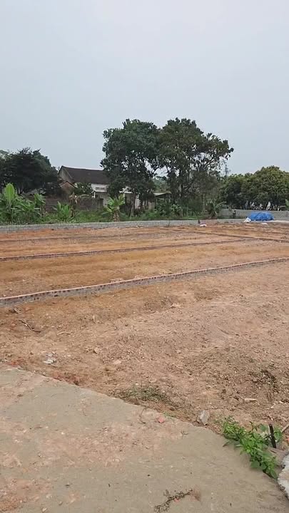 Đất nền Tam Dương 80m² - Sổ đỏ chính chủ, đường to ô tô!