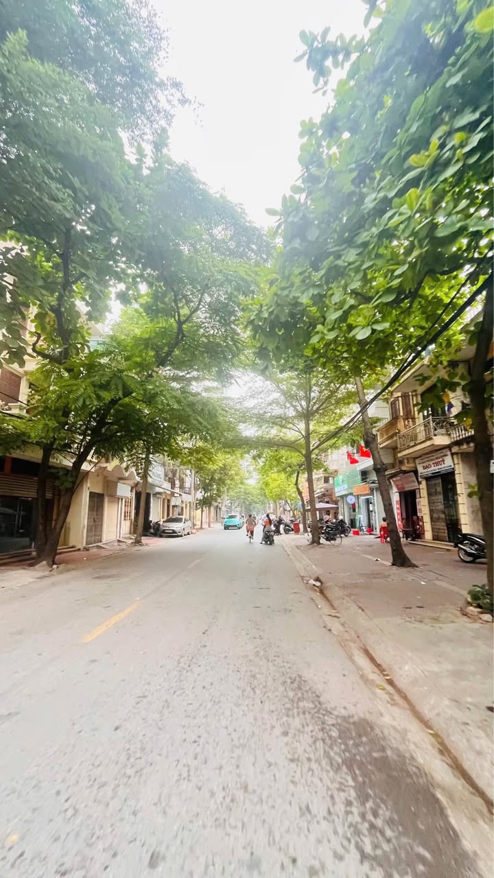 Nhà Phố Phố Tam Giang, TP Hải Dương 97m² - Mặt tiền kinh doanh sầm uất!