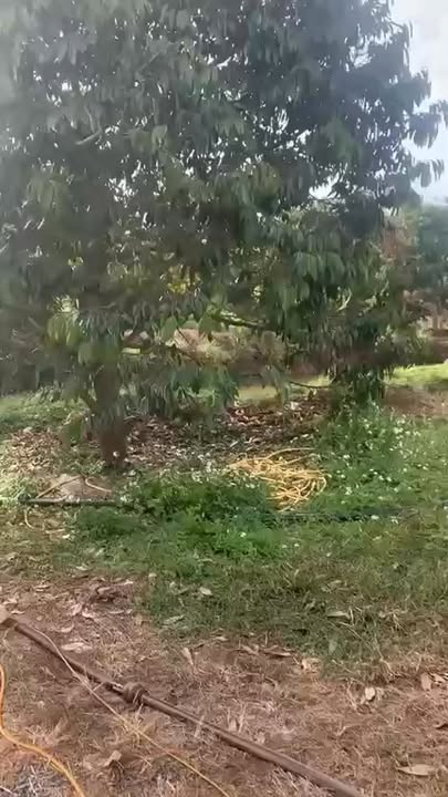 Đất rẫy ĐLiê Ya, Krông Năng 3240m² - Đầu tư dài hạn sinh lời!