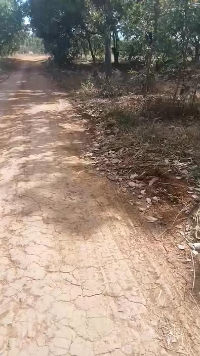 Đất nền Phú Nghĩa, Bù Gia Mập 1.4ha giá 1.8 tỷ - Đường to ô tô