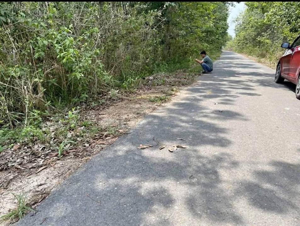 Đất nền Thuận An, Bình Dương 350m² - Đất thổ cư 100%, xây dựng tự do!