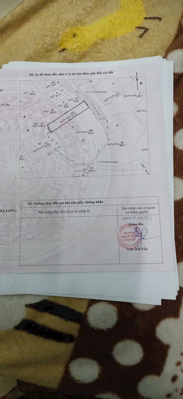 Đất nền 122.8m² Cao Xanh, Hạ Long - Ô tô tận nơi, Sổ đẹp nở hậu