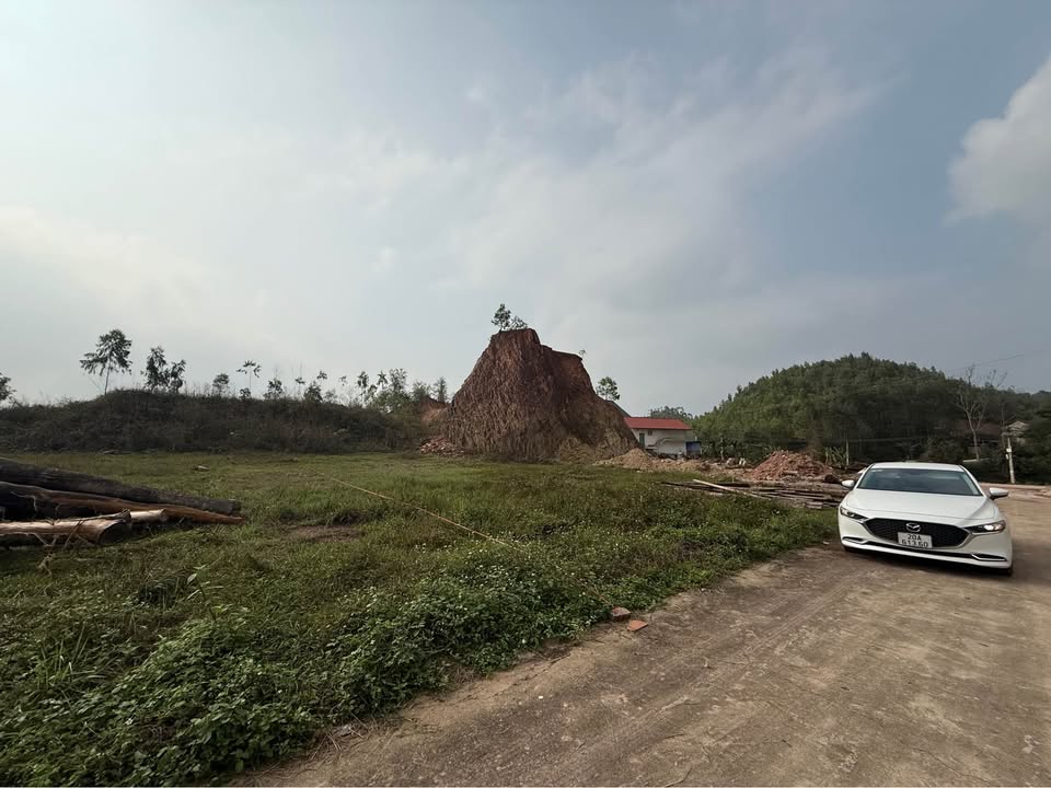 Đất nền Nga My, Phú Bình 174m² - Tiềm năng tăng giá vượt trội!