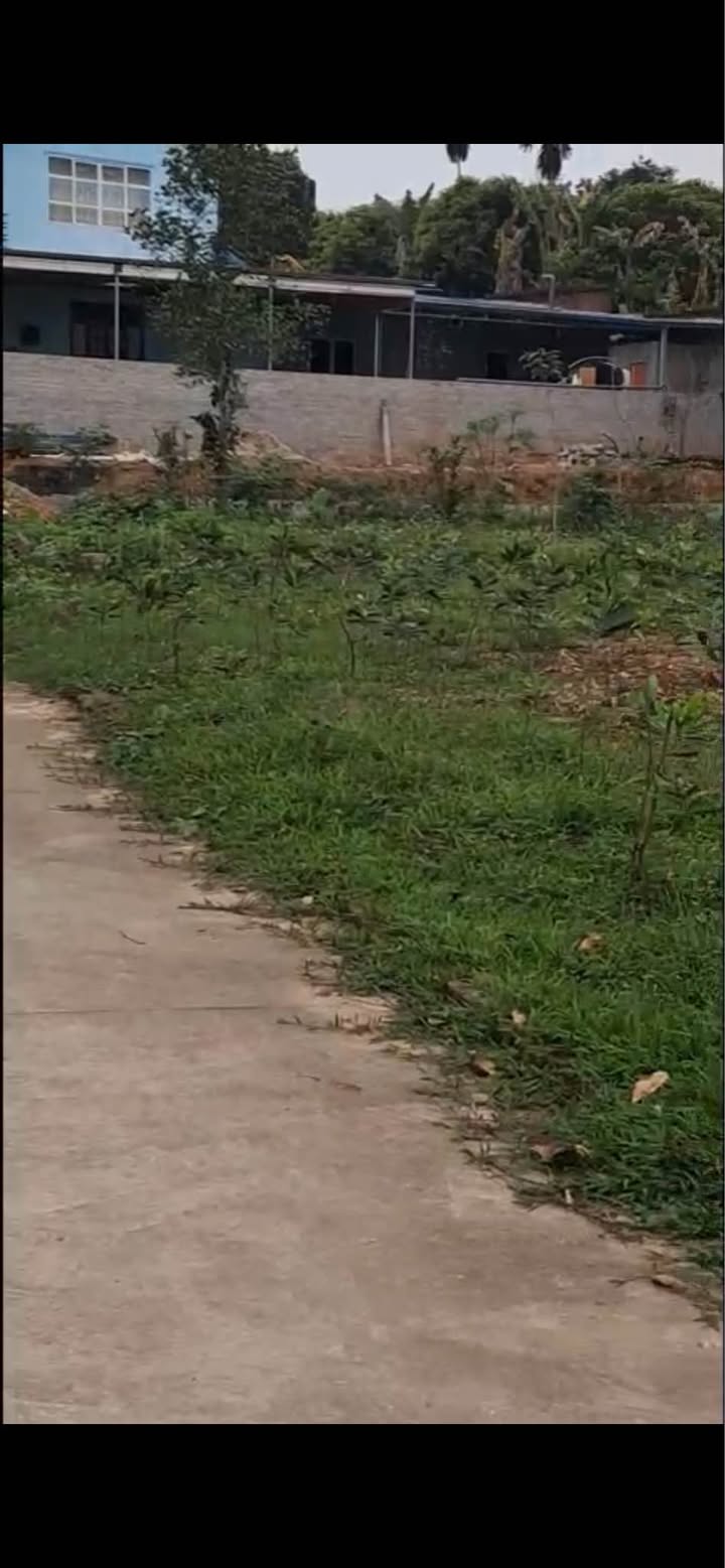 Đất Đồi Cầu Đán 141m² - Sổ Đỏ Full Thổ Cư, Giá 2.65 Tỷ