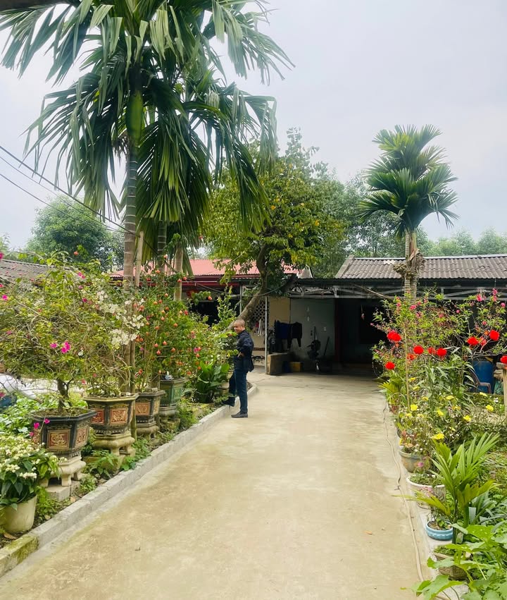 Bán Đất Tặng Nhà Xã Cao Ngạn, TP. Thái Nguyên - 800m², 2.7 Tỷ