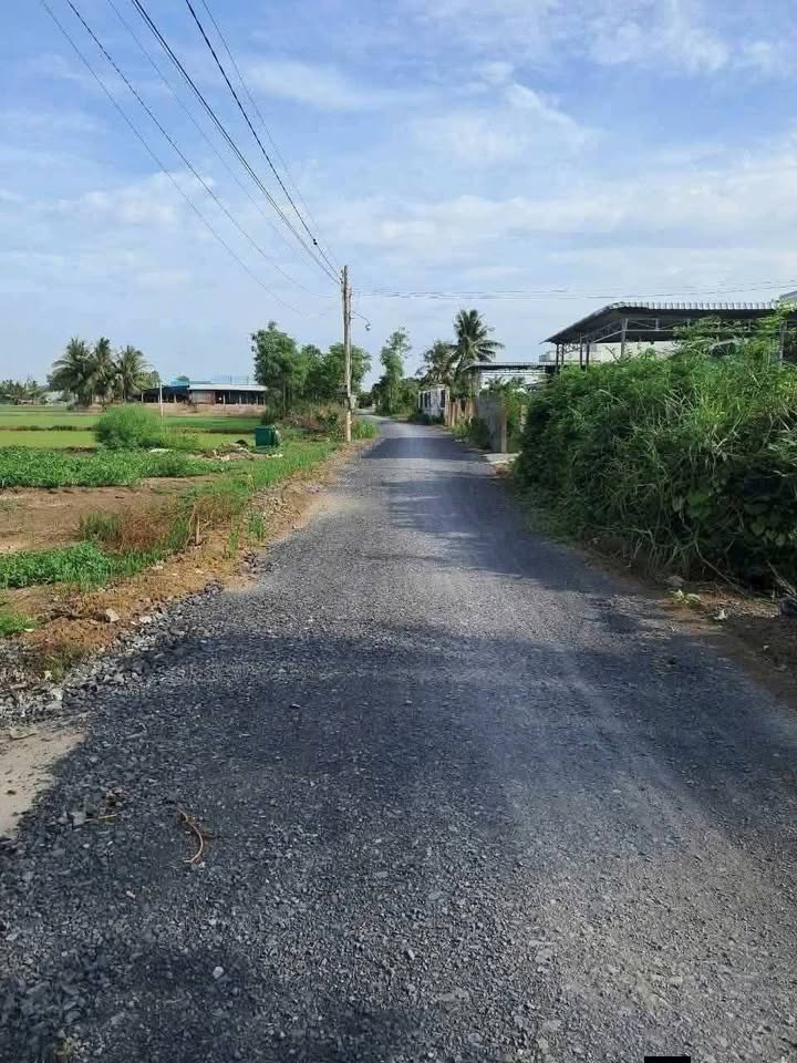 Đất nền mặt tiền nhựa Bình Xuân, Gò Công - 190m² giá chỉ từ 4xx triệu