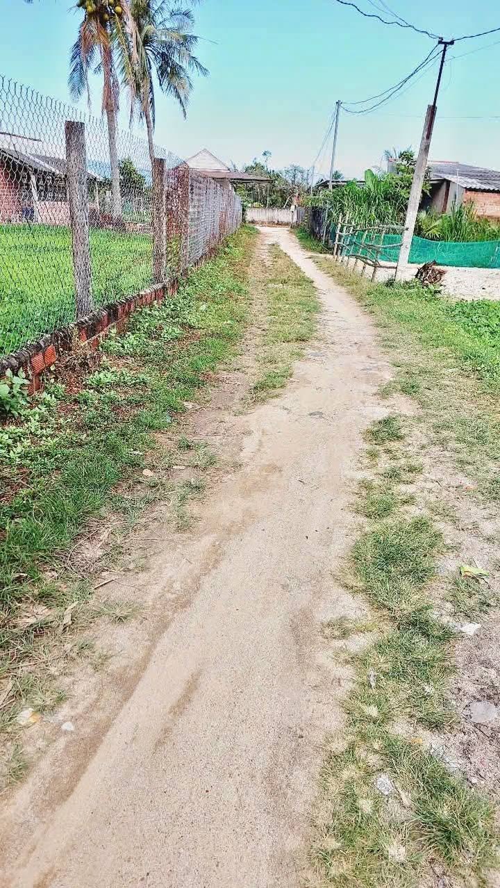 Đất nền Phù Cát 124m² - Sổ đỏ chính chủ, ô tô vào tận nơi!