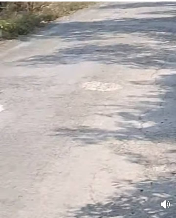 Bán 28 Công Đất Vườn Tiềm Năng Mỹ Phước Tây, Tiền Giang - Mặt Tiền 65m Lộ Nhựa