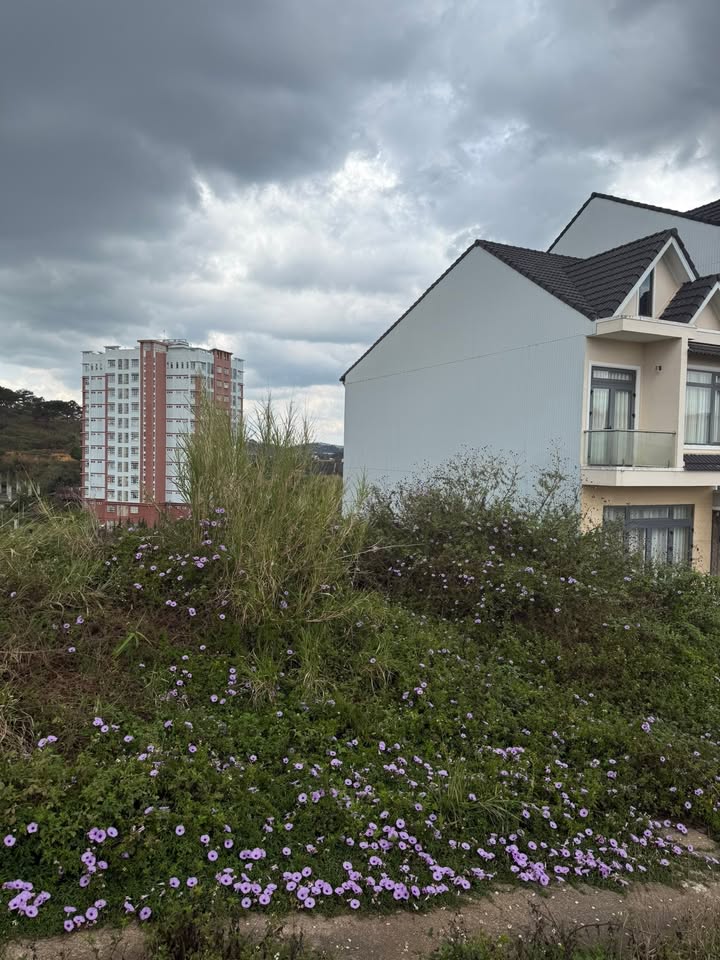 Đất nền 100m² Đường Nguyễn Hoàng Đà Lạt - Sổ đỏ chính chủ