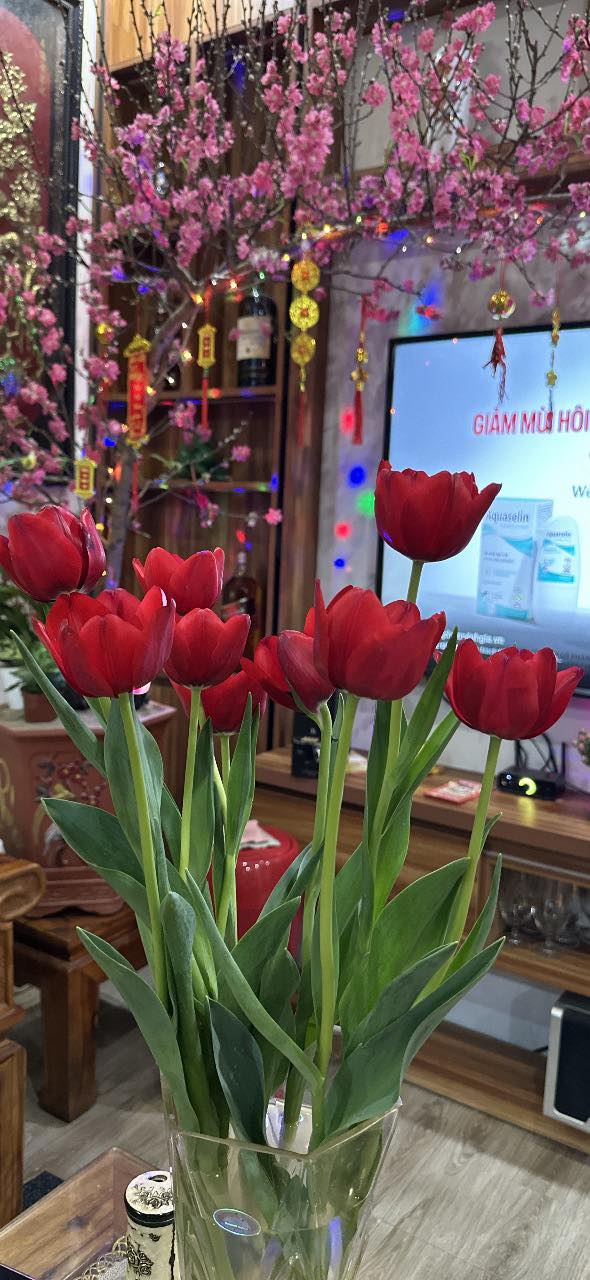 Nhà 1 Tầng 1 Tum Phường Bắc Sơn, Phổ Yên - 55m², Mặt Tiền 5m, Giá 4 Tỷ