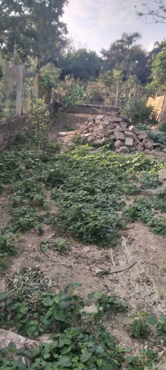 Bán đất 350m² Thanh Hóa - Sổ đỏ hợp đồng mua bán, giá 7xx triệu