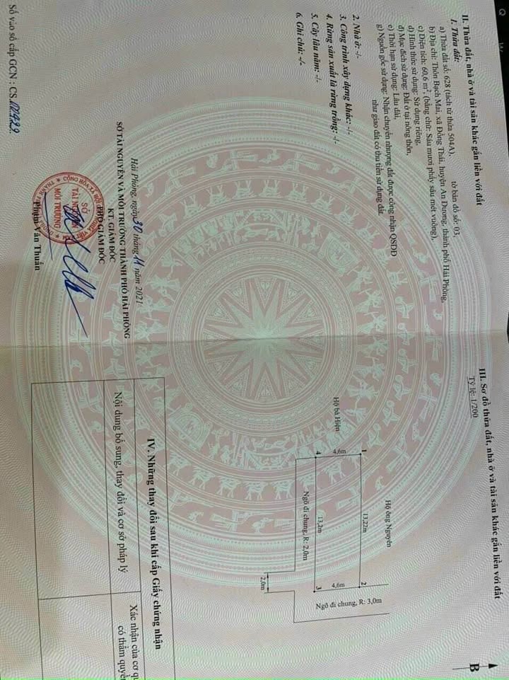 Bán Đất Bạch Mai An Dương 60m² - Sổ Đỏ Vuông Vắn, Ngõ Thông Thoáng