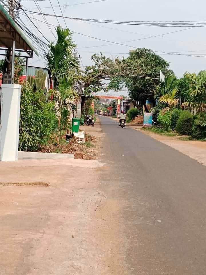 Đất Mặt Tiền Đường Nhựa Xã Cư Suê - 180m² Sổ Đỏ Sẵn Sàng