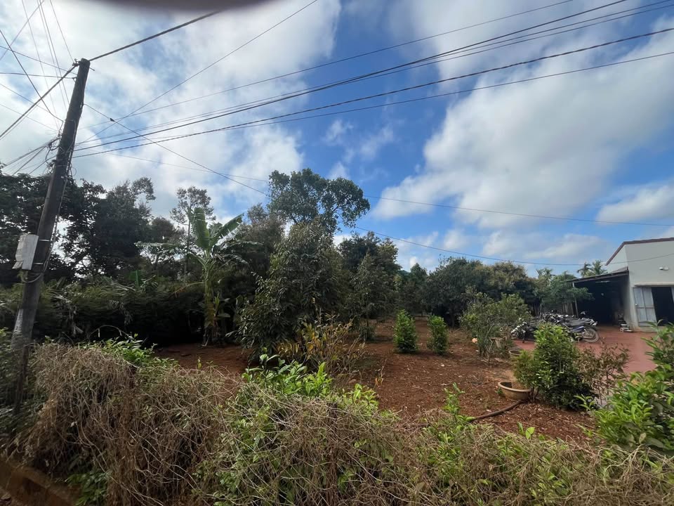 Đất Vàng Quảng Phú 650m² - Chính Chủ Ngang 10m - Lộ Giới 60m