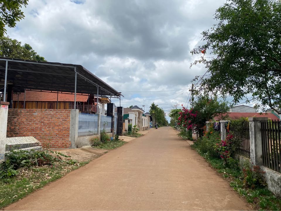 Đất Cư Suê, Đắk Lắk 115m² - Sổ Đỏ Vuông Vắn, Gần KCN Tân An